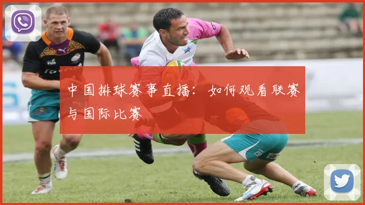 中国排球赛事直播：如何观看联赛与国际比赛